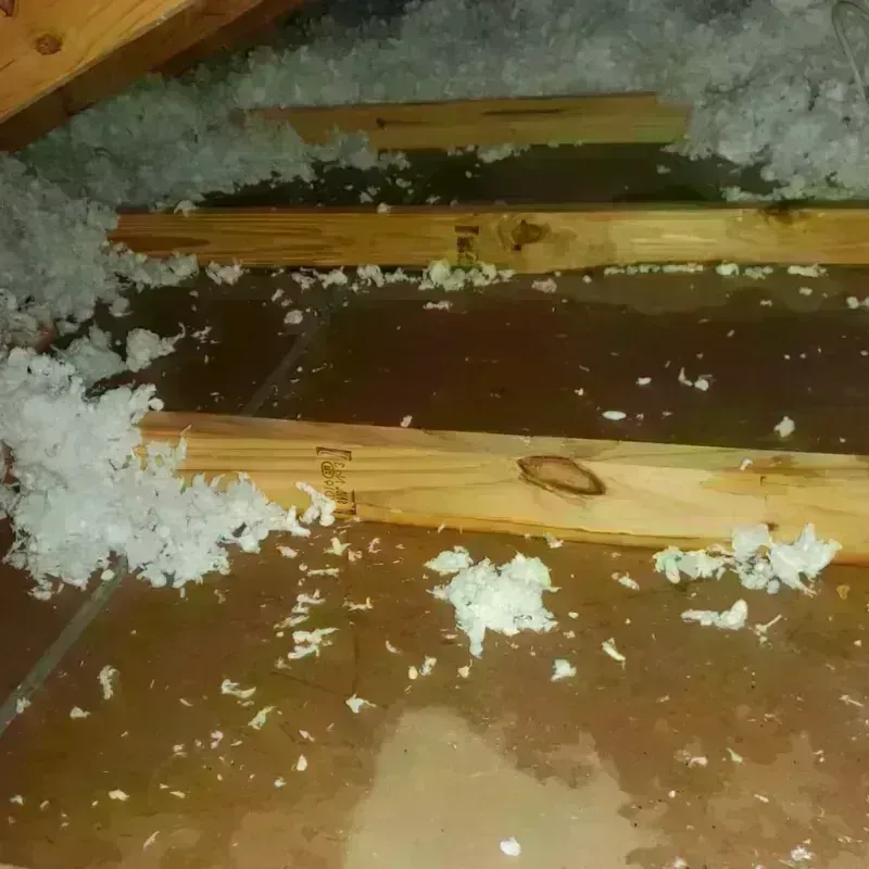 Attic Water Damage in Cambridge, WI