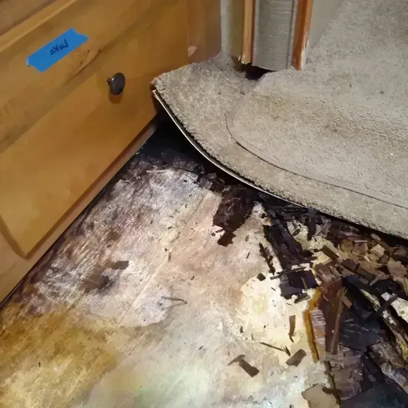 Wood Floor Water Damage in Cambridge, WI